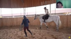 24 Часа на ЛОШАДЯХ Челлендж реакция на влада бумагу