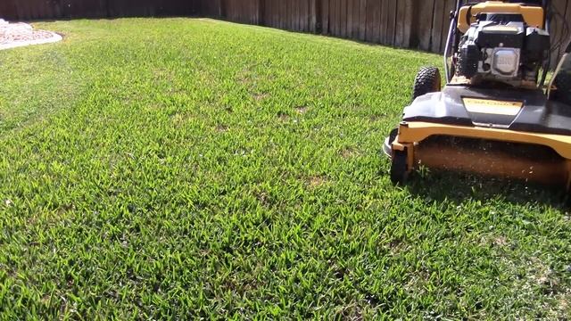 Cub Cadet 33 mowing with Kavli Finisha blades смотреть онлайн