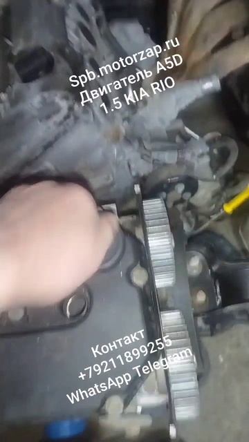 Spb.motorzap.ru и Наличие Двигатель A5D KIA RIO. Пробег 90000 км.  Документы ГТД.