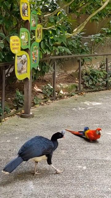 Где находится ЕДИНСТВЕННЫЙ в Азии парк дикой природы? смотреть онлайн