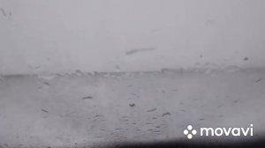 Охота на Волка