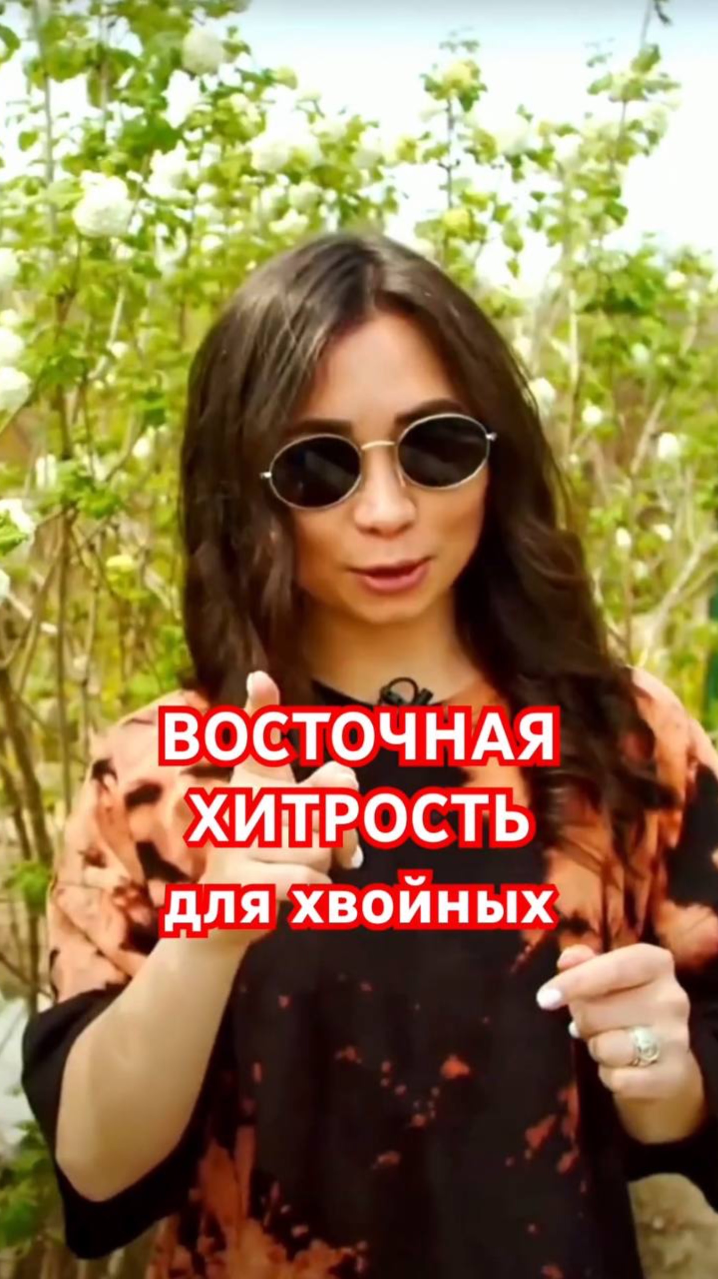 Зимняя ЗАЩИТА ХВОЙНЫХ в японском стиле смотреть онлайн