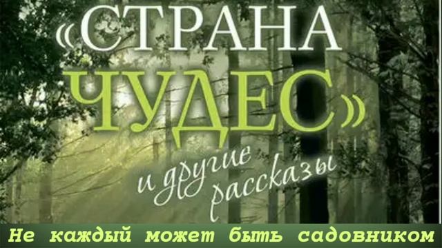 Не каждый может быть садовником/Протоиерей Андрей Ткачев/Рассказ из книги/Страна чудес и др.рассказ смотреть онлайн
