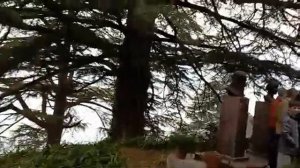 Дом-музей Рерихов в г.Нагар, долина Кулу, Индия, Гималаи. Мир Универсологии