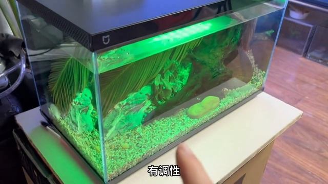 小米的米家智能魚缸，燈光調節非常廣泛，能夠襯托造景風格 смотреть онлайн