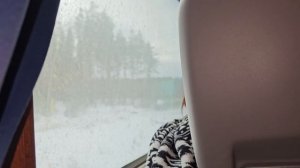 Разговор в поезде Машина Времени/Conversation on the train Time Machine clip #music #rockmusic