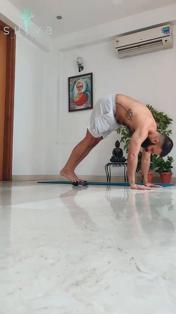 Working Core on Pike Press Wheel | Yoga Trainer | SHIVA STYLE FITNESS смотреть онлайн