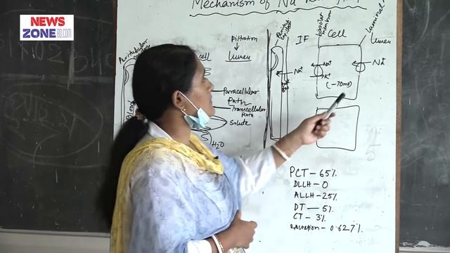 Mechanism of Sodium Reabsorption II Assist. Prof. Dr. Munmun Ghosh II Dept. Physiology II BAMC смотреть онлайн