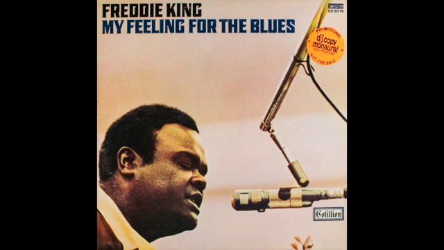 Freddie King - Ain't Nobody's Business What We Do смотреть онлайн