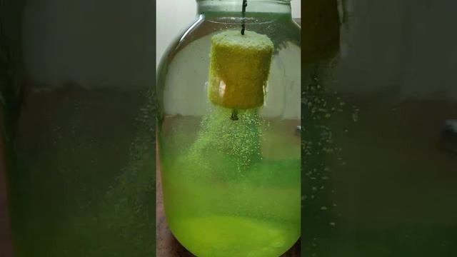 технопланктон BIG FISH Fluorescent