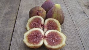 Обрезка плодоносящего инжира