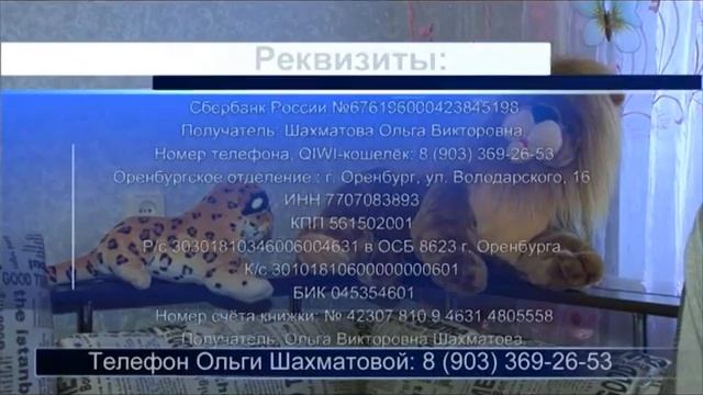 Orsk ru 13 11 2014 смотреть онлайн