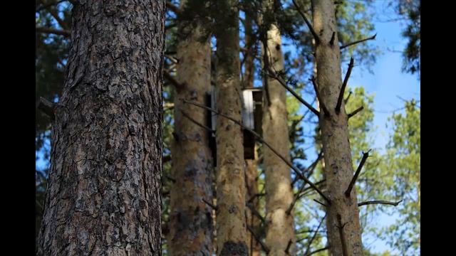 Слайд-шоу на пару Основы фото по теме "Весна" смотреть онлайн