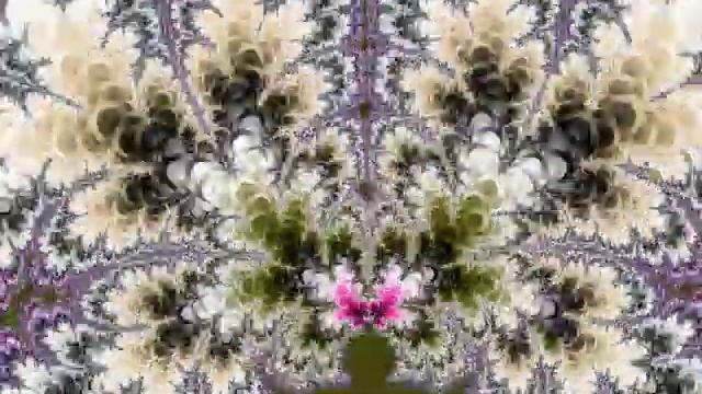 Amazing fractal video! смотреть онлайн