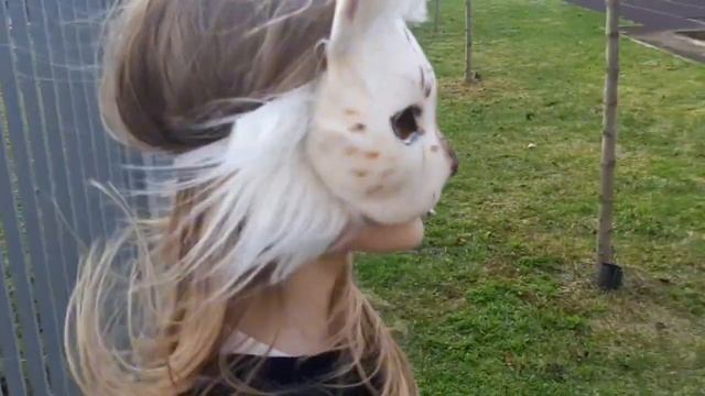 ☆КВД СХОДКА🌾|Захейтили агро малолетки?|Стала квд матерью?🐾 смотреть онлайн