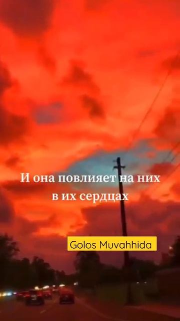 Грехи за фото в исламе | Напоминание #ислам #фото #грехи #islamshorts смотреть онлайн
