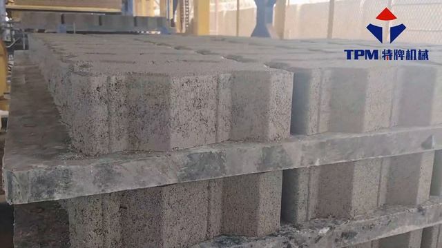 Завод по производству бетонных блоков и брусчатки европейского дизайна TPM10000G в Мозамбике смотреть онлайн