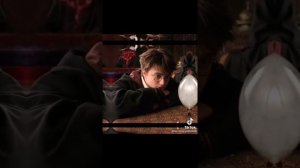 Гарри Поттер тик-ток