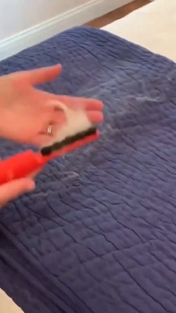 The Best Cat Fur Remover смотреть онлайн