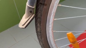 Shulz Roadkiller, спустя год.