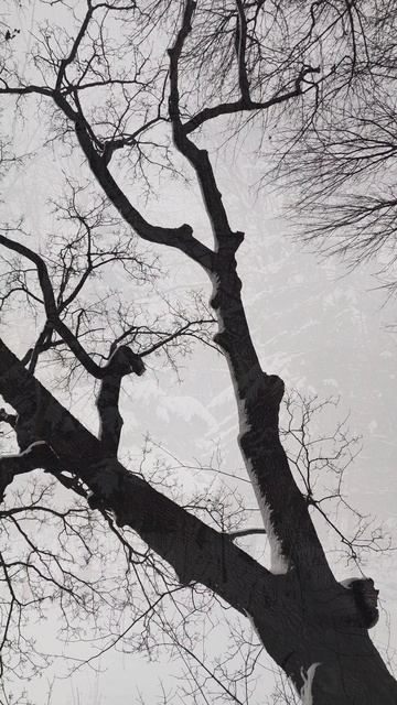 Зима, зима, зима ❄❄❄ смотреть онлайн