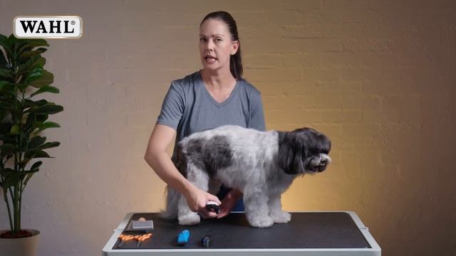 How to use Clippers on Face, Feet and Hygiene Areas смотреть онлайн