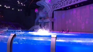 Москвариум шоу