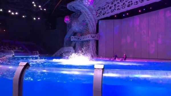 Москвариум шоу