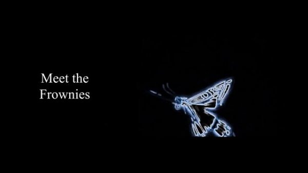 Meet the Frownies 1 hour