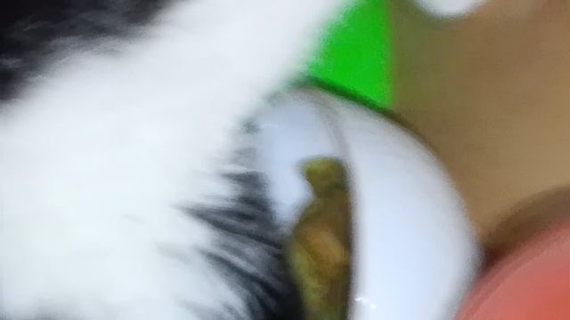 1000007307.mp4 смотреть онлайн