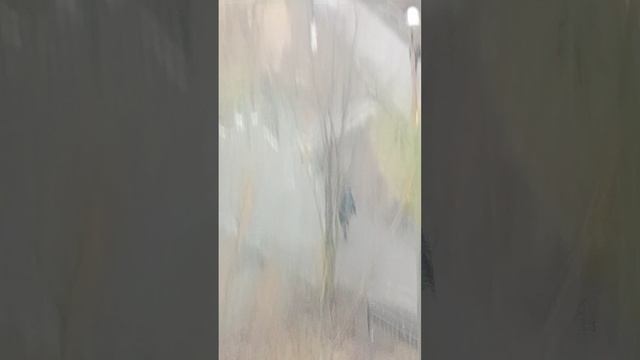 1000007266.mp4 смотреть онлайн