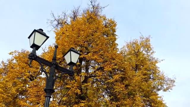 В парке Царицыно. Лето 2017 года. смотреть онлайн