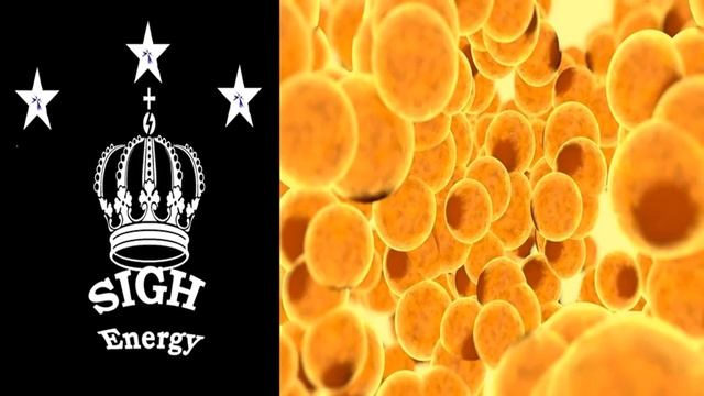 Fat Cell Converter EXTREMELY POWERFUL!!! (Energetically Programmed) смотреть онлайн