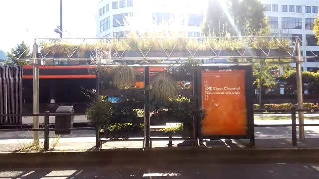 Остановки и автобусы в Нидерландах смотреть онлайн