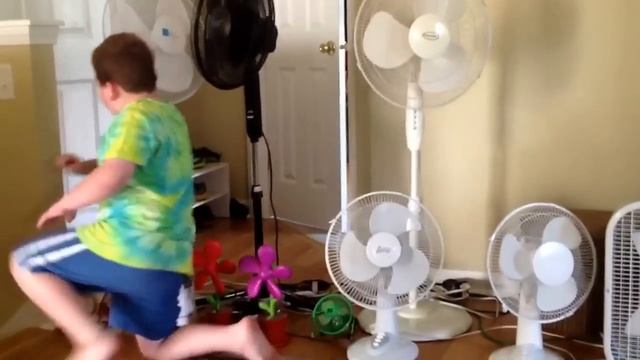 Bigger Fan Collection!