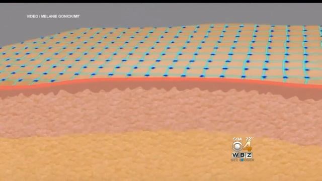MIT Develops 'Second Skin' That Can Temporarily Erase Wrinkles смотреть онлайн