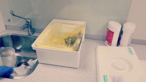 Утилизация отходов класса Б.