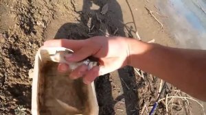 Странник Артур 72 часа один на рыбалке