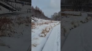 서울 폭설 산책 SEOUL SNOWFALL