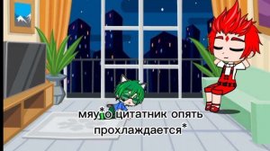 Вару стал котом на 24 часа