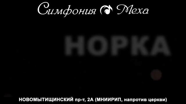 ТРАНСМЕДИА – Симфония Меха смотреть онлайн