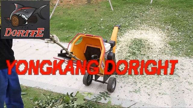 Yongkang doright Wood Chipper DR-GS -65H for sale смотреть онлайн