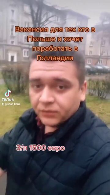 работа в Голландии смотреть онлайн