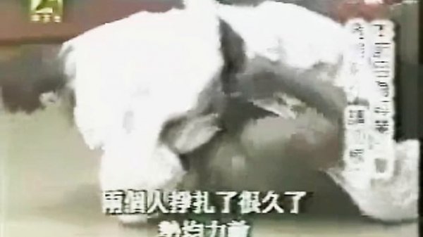 Бэд Карма " FIGHT ZONE." Первые выпуски шоу.