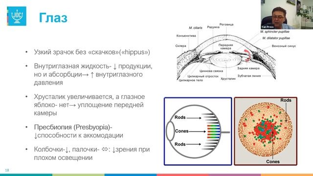 Занятие 1. "Старость и старение" проф. Ян Пресс. 20.10.2020