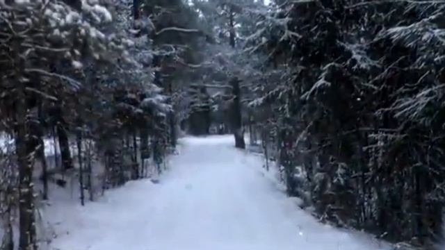 Синицынский бор. Место формирования Ишимских дивизий. смотреть онлайн