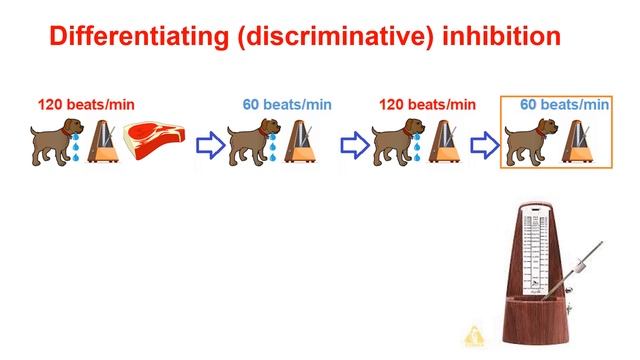 PHYSIOLOGICAL BASIS OF PURPOSIVE BEHAVIOR OF ANIMALS AND HUMANS смотреть онлайн