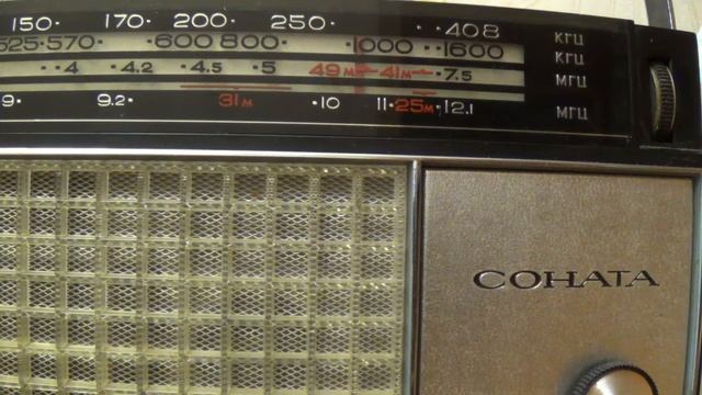 6210 кГц в эфире Воронежские троцкисты смотреть онлайн