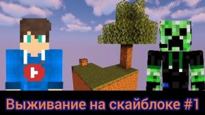Выживание на скайблоке #1