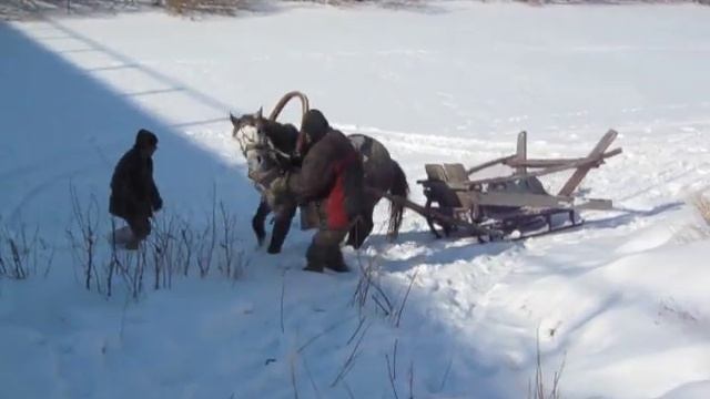 конь сбежал.AVI смотреть онлайн
